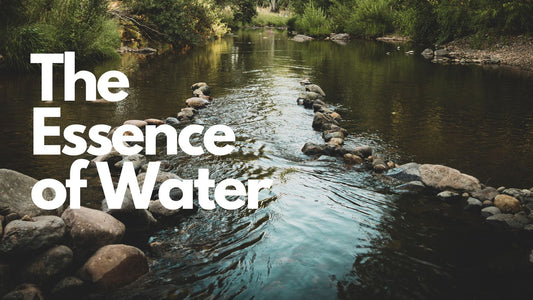 Stone dam in a stream is a natural water filter system