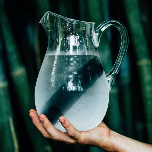 Person holding jug of water with charcoal water filter